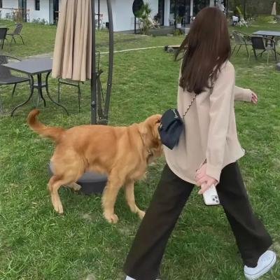 卿卿日常